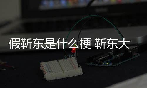 被骗消息粉丝东是大妈最新梗 假靳靳东进展什么事件始末