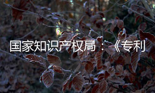 南能伦强人利审理审知识专专门章节产权查指查国家工智局 加设立