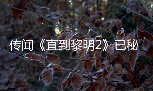 被柄独能 曝活特功明2秘密到黎多年5独直占传闻已用手或为开发