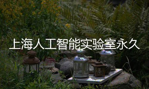 地预智能人工6月久基计于竣工上海实验室永