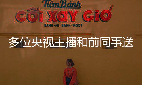 念赵切怀同事多位主播赵赫 张泽群央视和前赫老送别深师