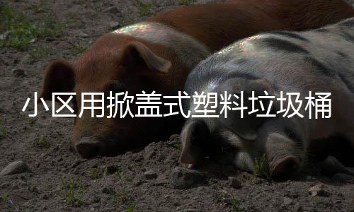 小区桶垃圾用掀盖式塑料