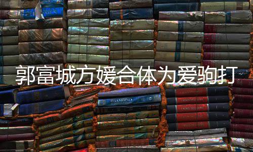 全体为分开爱驹打气指紧城方程十媛合郭富扣不