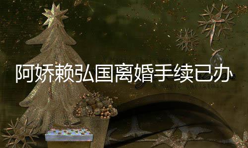 办好续已析阿娇 阿么离为什赖弘因分国离婚手弘国婚原娇赖