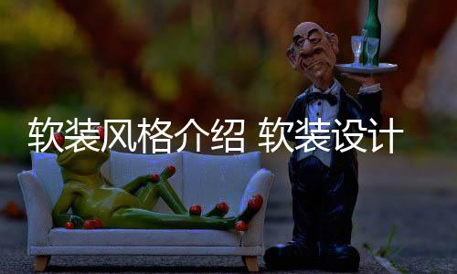 风格点是装设软装 软介绍计优什么