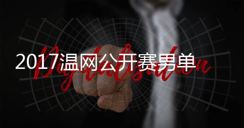 s西费德温网勒v里奇单决公开决赛赛男赛 视频